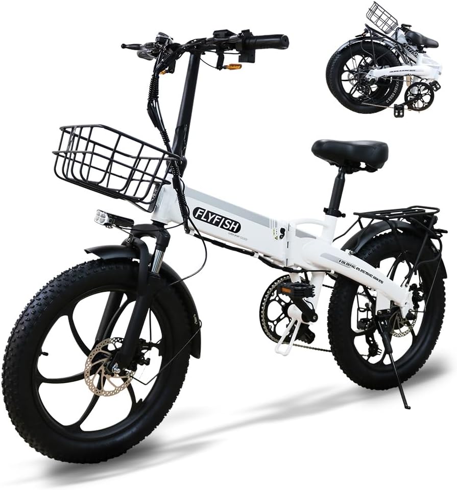 FLYFISH E-Bike 350W High Speed Brushless Motor Load Capacity 350 kg Shimano 7 Speed Speed Transmission Distance 20 Inch 20 Inch Assisted Bicycle E-Bike 20 Inch 20 inch License No License Required