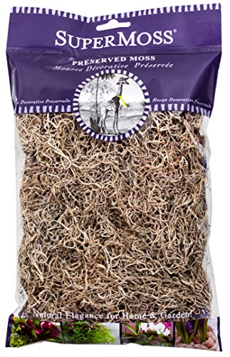 SuperMoss (26901) Spanish Moss Dried Decorative Moss for Crafts Potted Plants Fairy Gardens Vase Filler Floral Arrangements & Indoor/Outdoor Garden Projects 120 cu in Natural