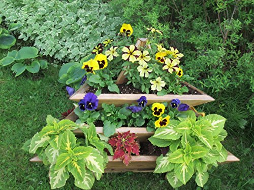 Triolife 3-Tier Plant Pyramid #TOP4