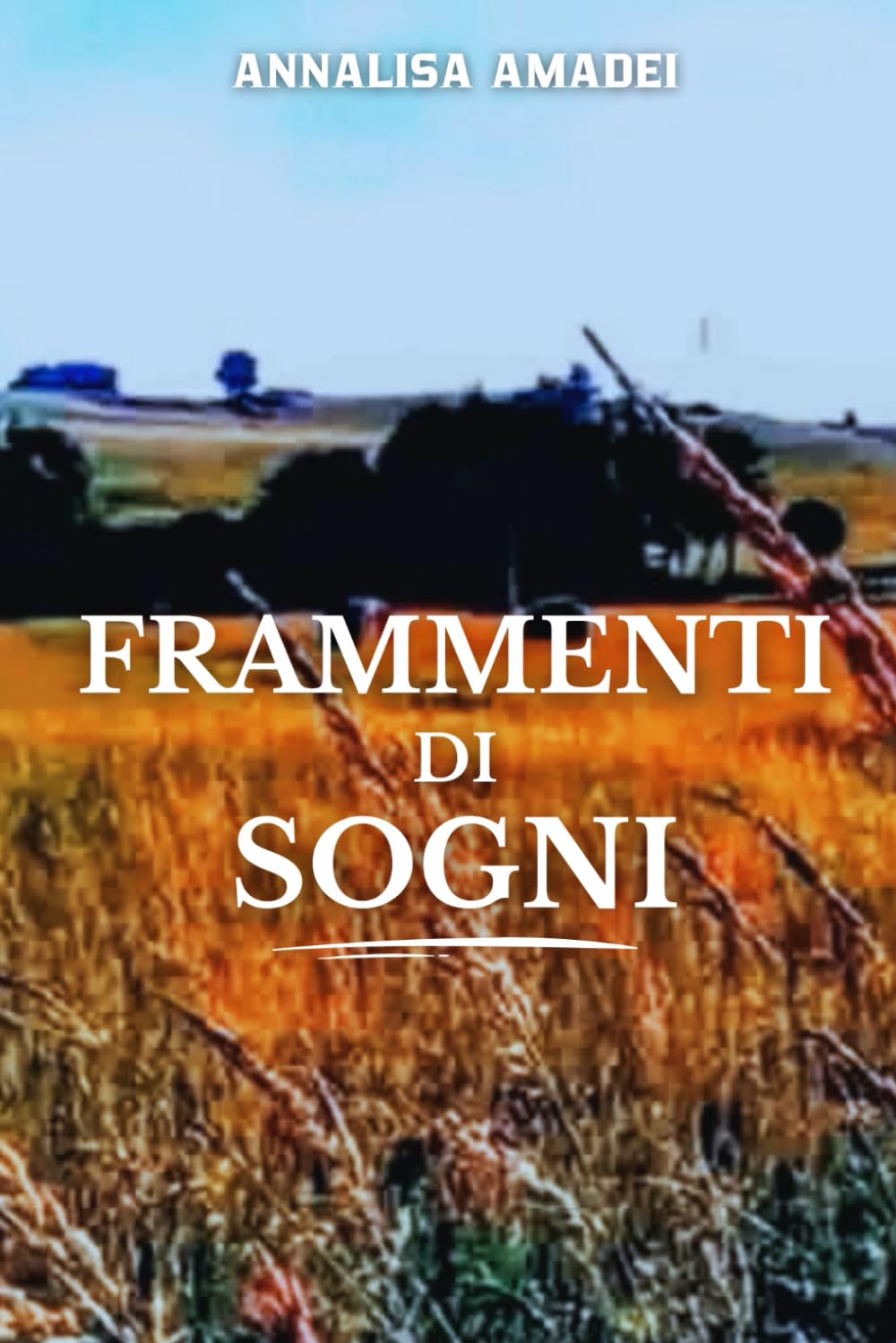 Frammenti di sogni: Raccolta di racconti di narrativa contemporanea, introspezione, amore, marginalità sociale, sogno e realtà