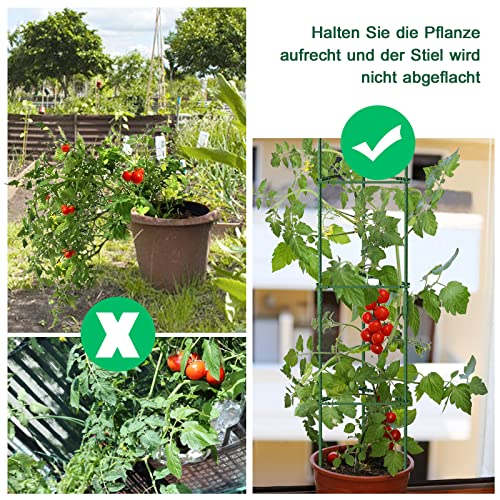SUNYRISY Tomaten Rankhilfe im Set, Pflanzenhalter für Tomaten, Rankhilfen für Kletterpflanzen, Pflanzenstütze für Blumen & Nutzpflanzen, DIY Einstellbar 6er Set, 120 cm Höhe, Grün 5