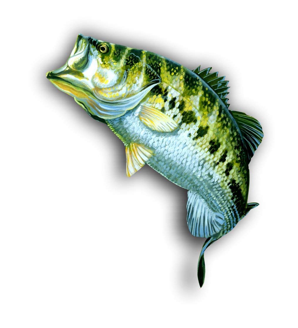 Magnet Large Mouth Bass Magnetic vinyl bumper sticker sticks to any metal fridge, car, signs 5