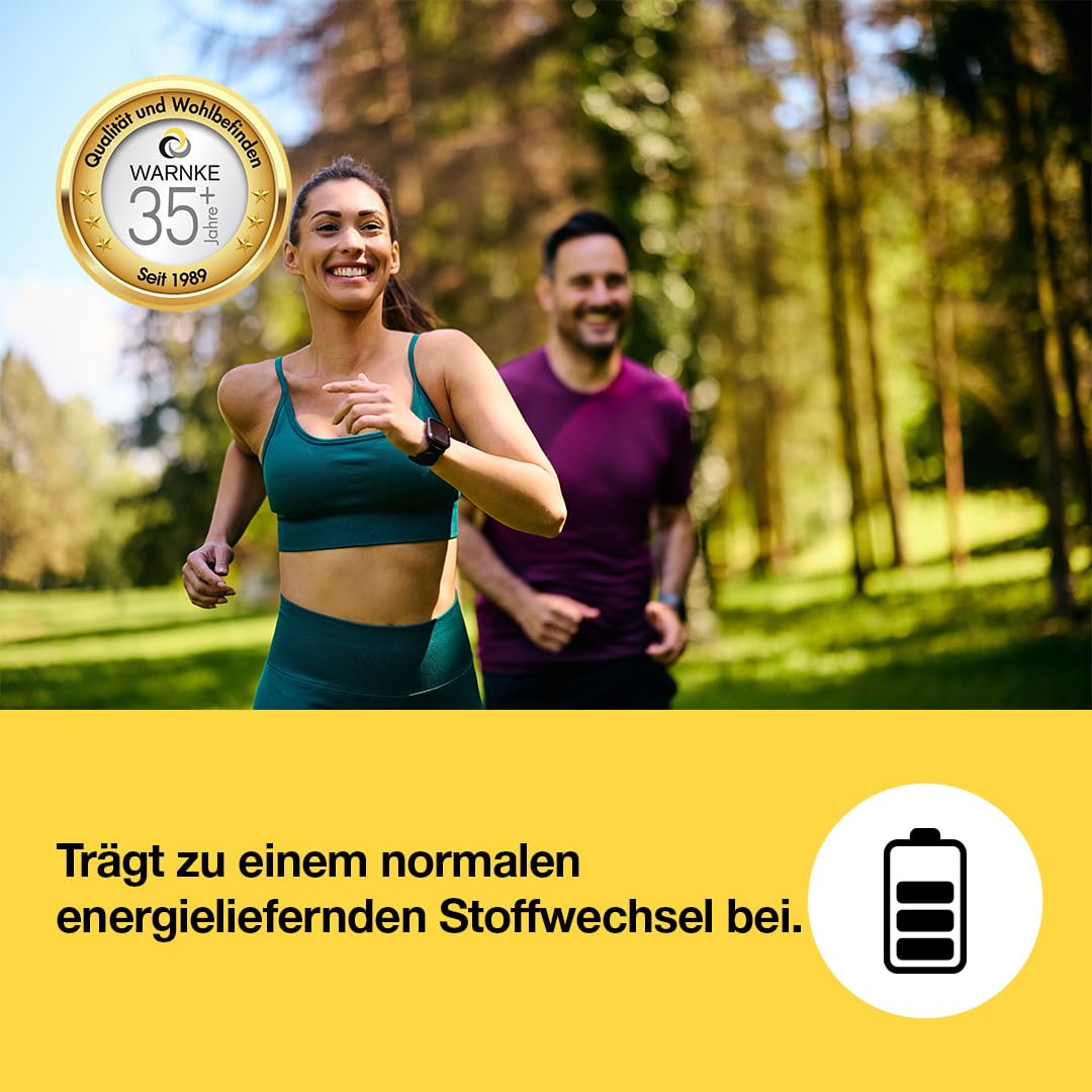 OPC Traubenschalenextrakt - 200mg Vitamin C + 60mg OPC pro Tagesdosis - 250 Kapseln - schluckfreundlich - vegan | Warnke Vitalstoffe - Deutsche Apothekenqualität