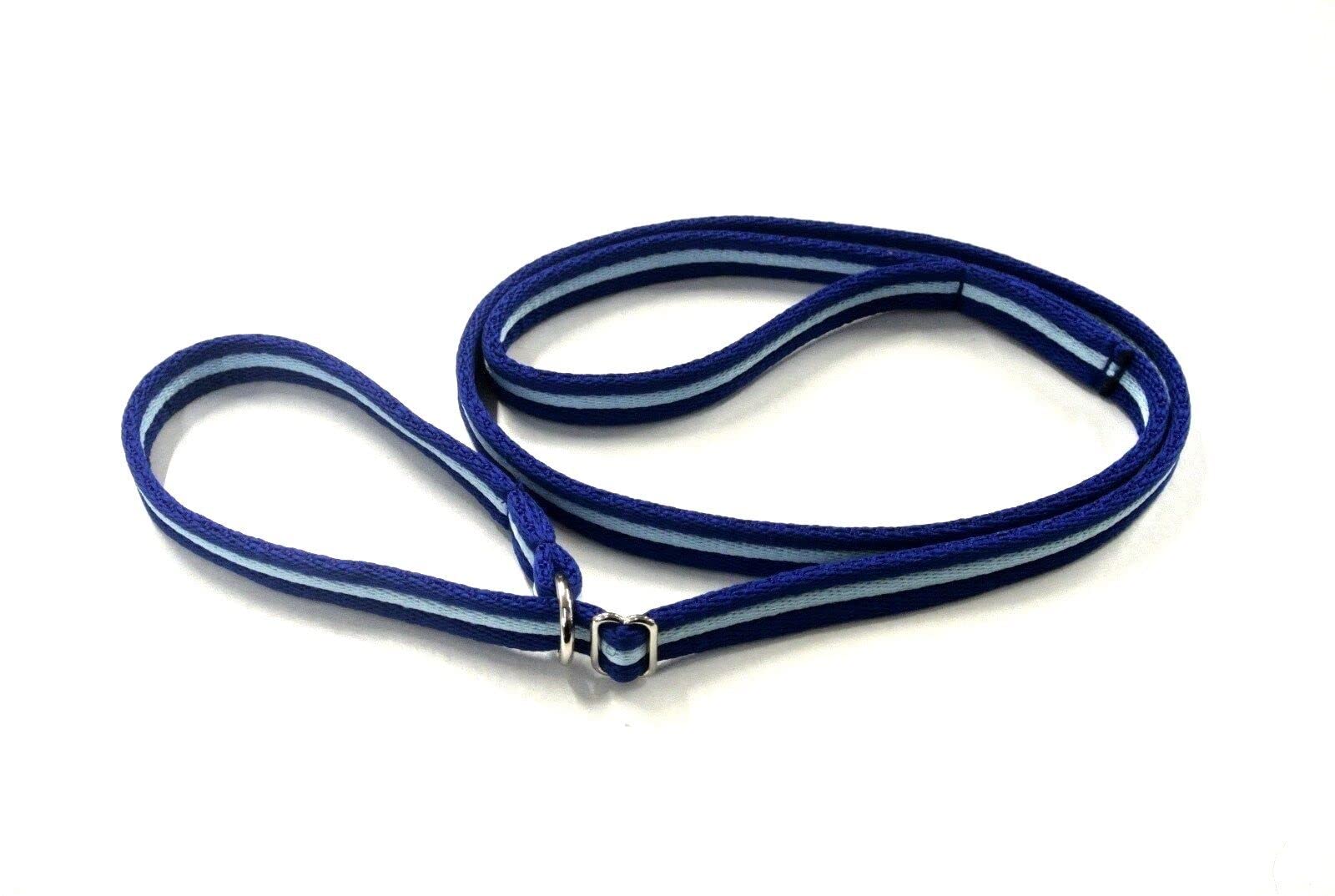 Dog Slip Lead Training Walking Leash 60" Long Obedience Slip On Dog Lead Soft Comfortable Air Webbing In (Royal Blue/Sky Blue, 25mm) — image 1