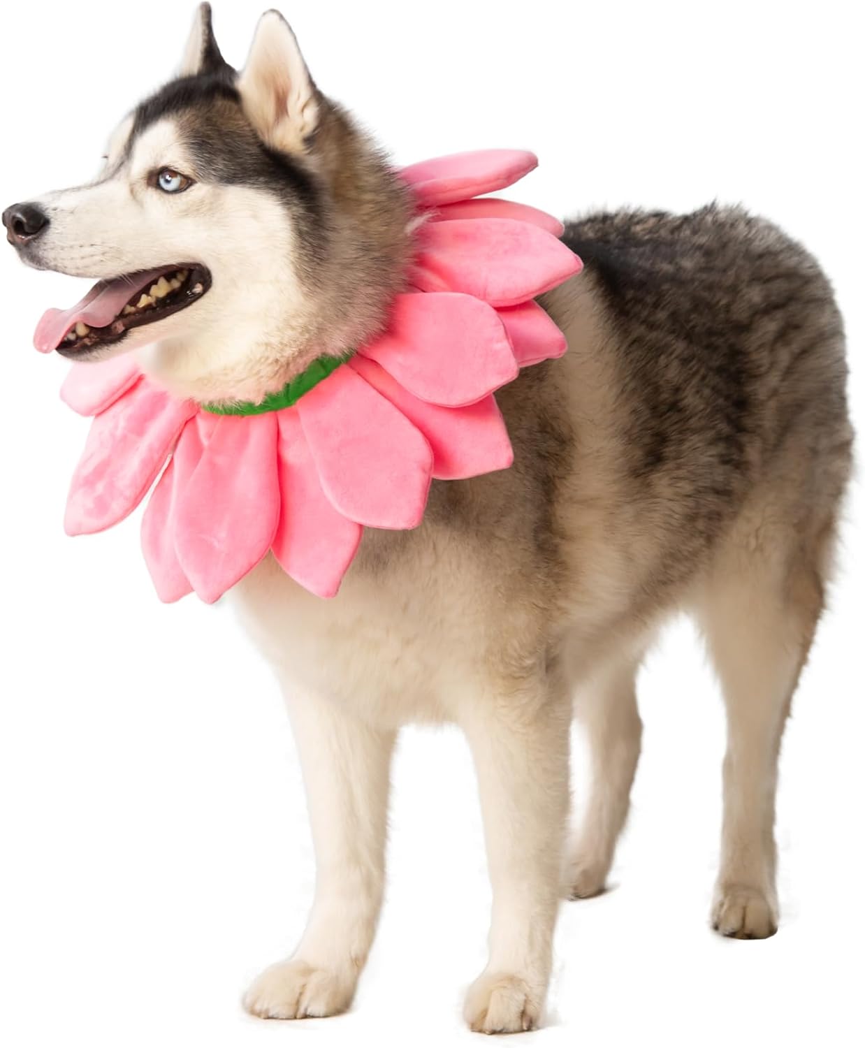 ComfyCamper Dog Pink Flower Neckpiece Costume - XS Small Medium XL XXL Bee Daisy Cosplay Halloween Costumes, L