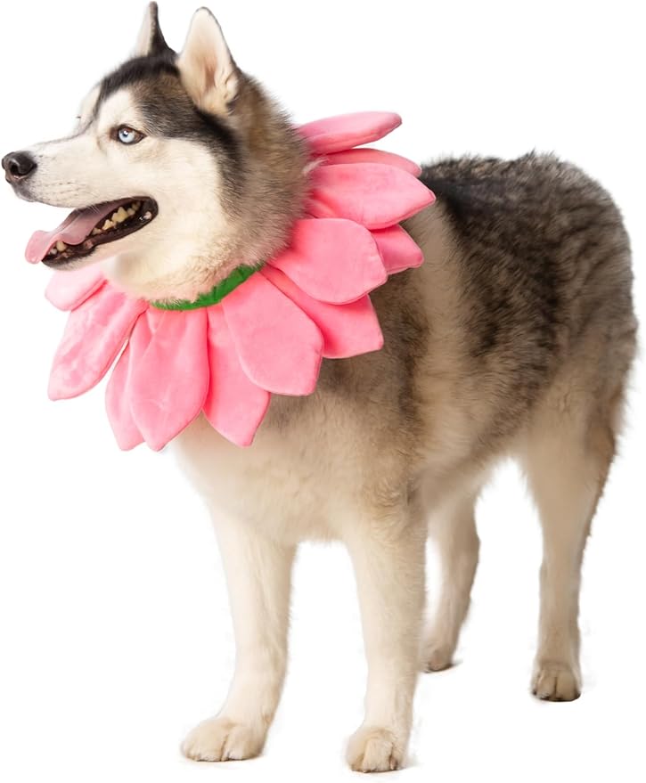 Disfraz para Perro Collar de Flores Rosadas ComfyCamper - Talla L miniatura 3