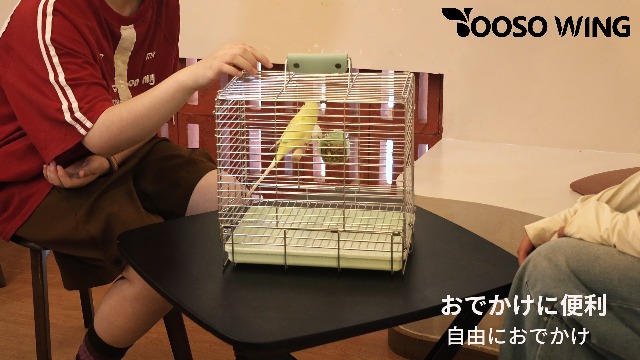 Amazon | 鳥かご、ステンレス製輸送ケージ、折り畳み式鳥かご、鳥