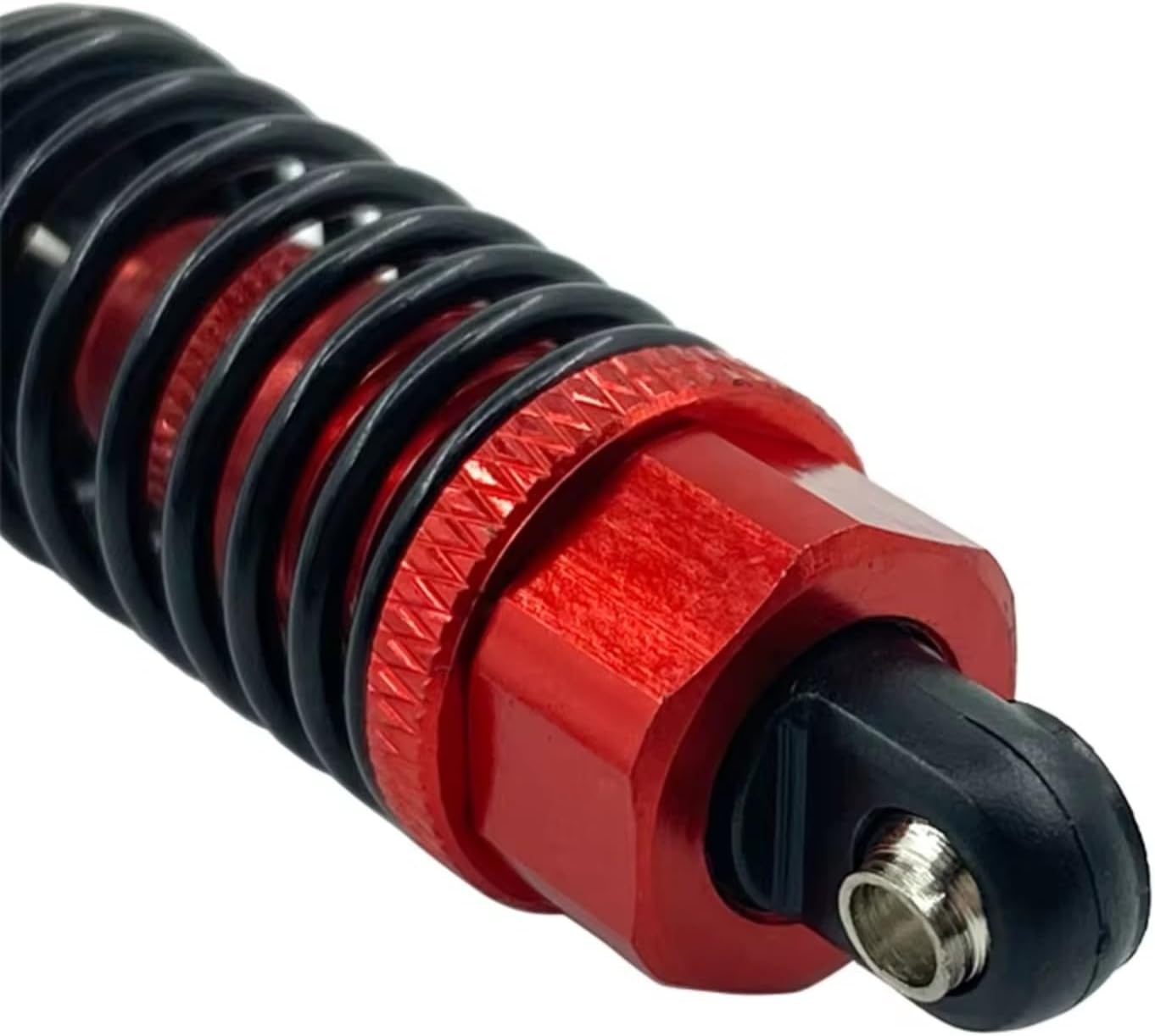 エッシェンバッハ ルーペ 葉山有樹監修 エッシェンバッハ ルーペ 葉山