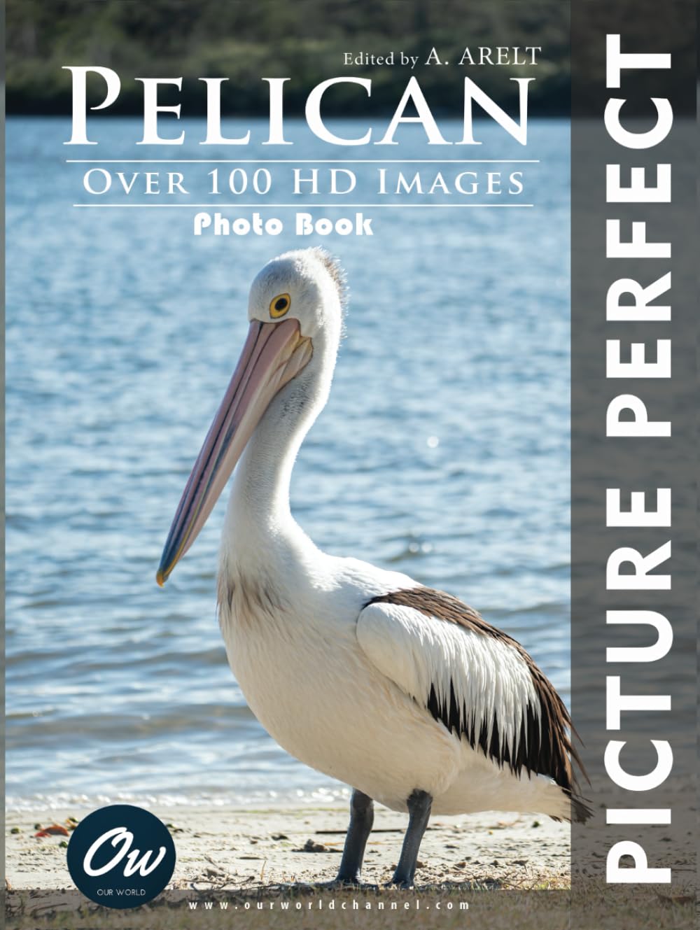 Pelican: Picture Perfect Photo Book