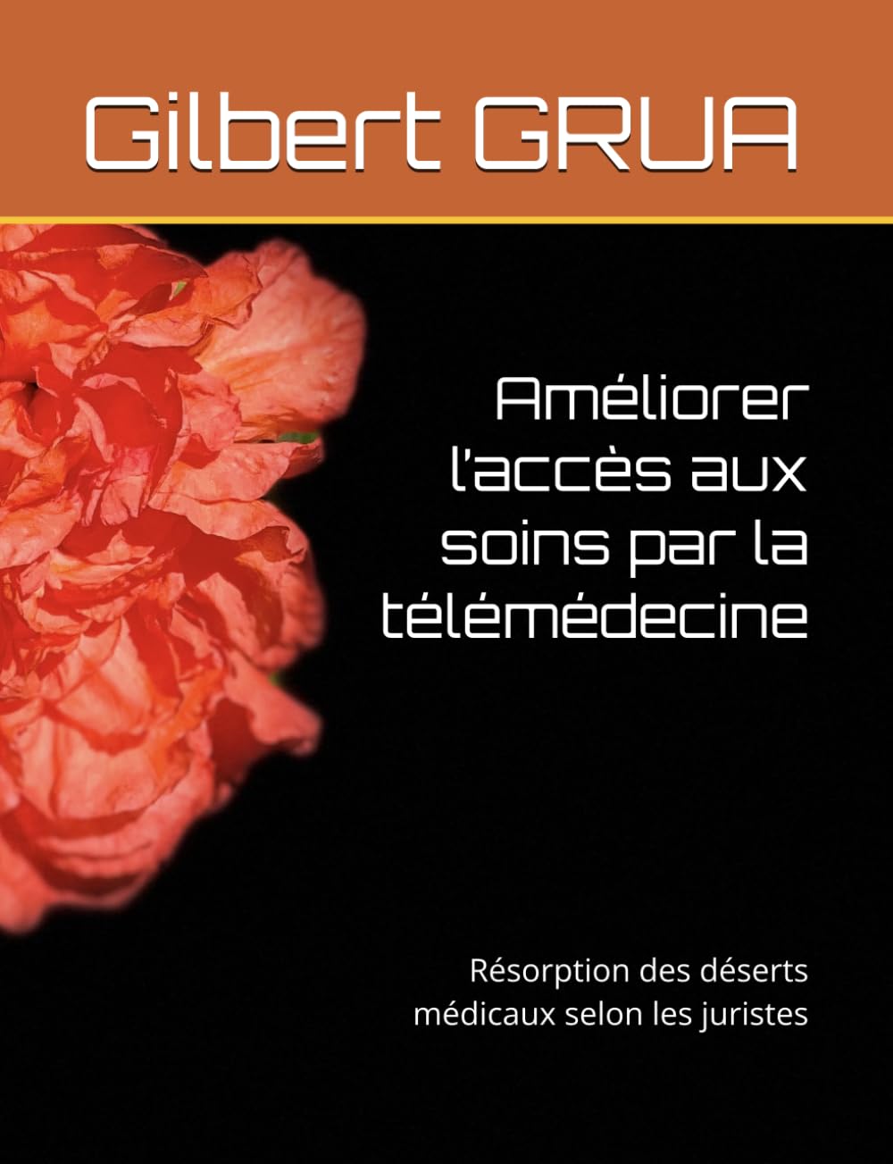 Améliorer l’accès aux soins par la télémédecine: Résorption des déserts médicaux selon les juristes (French Edition)