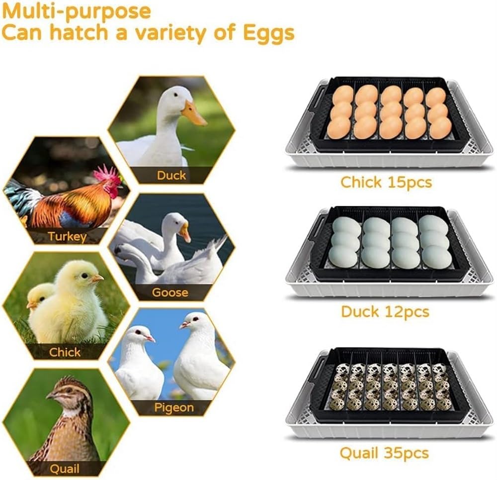 Mini Brooder 12 Inkubator do jaj Temperatura Automatyczna kontrola Wylęgarnia z cyfrowym ekranem LED Maszyna do wylęgu drobiu Narzędzie do wylęgania kaczek Inkubator dla ptaków dla kurczaka Przepiórka