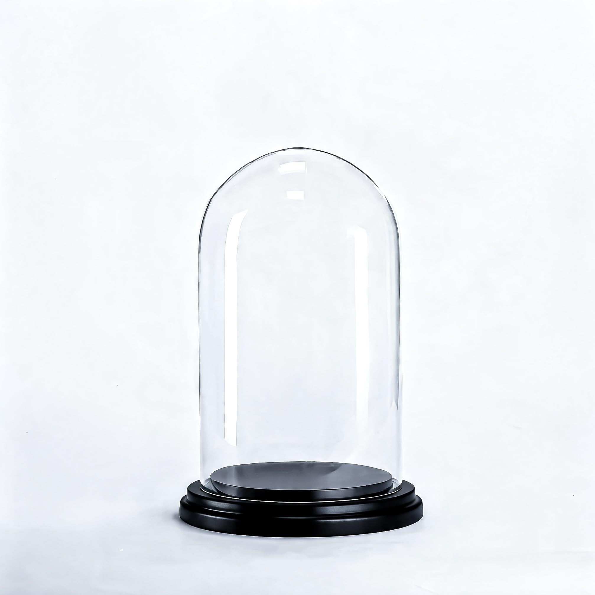 CYS EXCEL Glass Dome Cloche