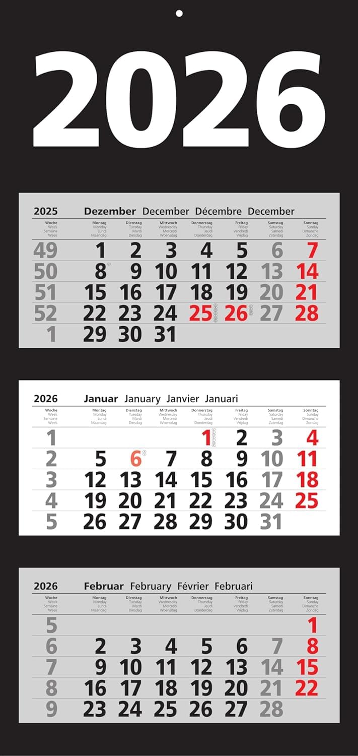 Herlitz mehr-monats Wall Calendar 2026 with Day Indicator (1 Piece