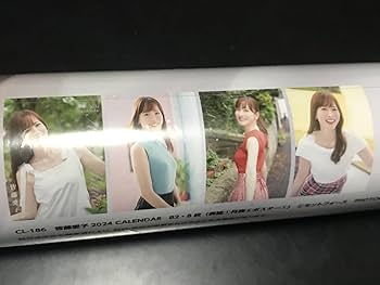 【339】皆藤愛子 2025 壁掛けカレンダー セントフォース かいとうあいこ 339】皆藤愛子 2025 壁掛けカレンダー セントフォース か