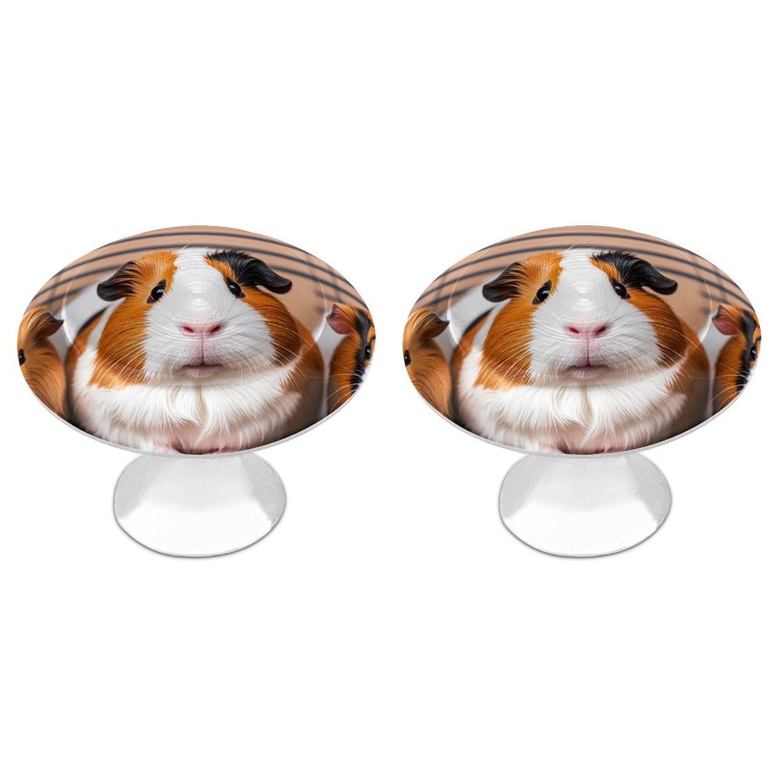 FekiLoot Guinea Pigs Cabinet Knob 2 Pack Mini Round Drawer Pulls Stainless Steel Dresser Drawer Knobs Kitchen Drawer Hardware for Bathroom Dresser Closet Door Knobs