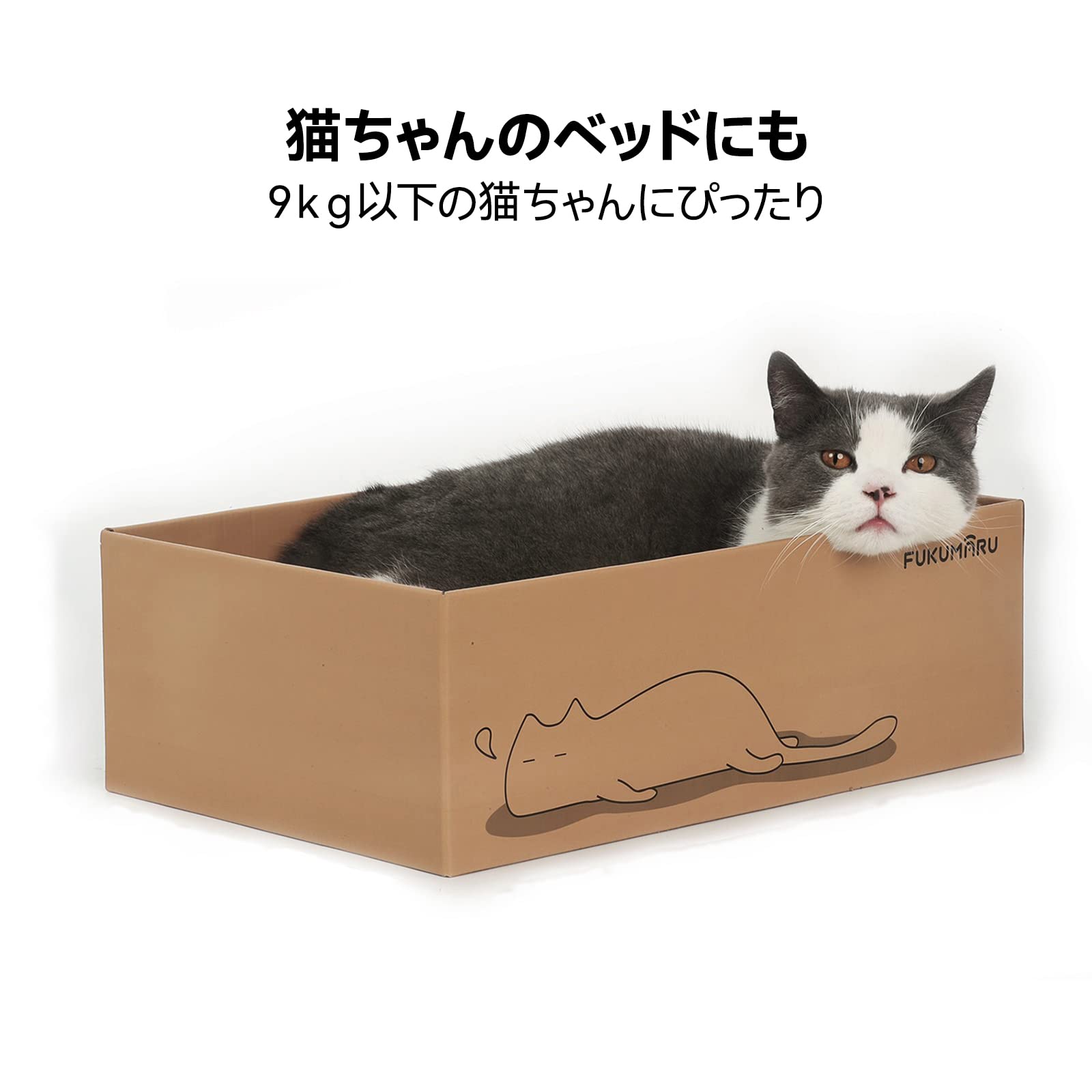 Amazon | FUKUMARU 猫 つめとぎ ダンボール 爪とぎ 段ボール 猫用 両面