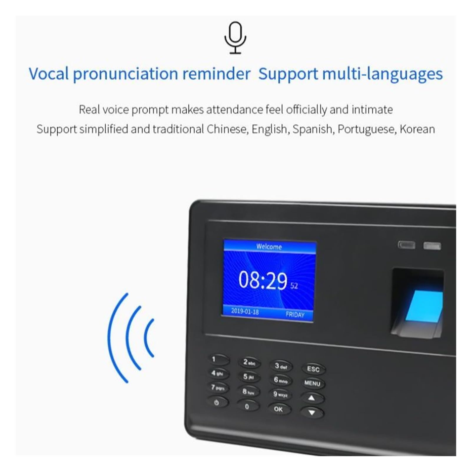 Impronta digitale Rilevazione presenze Macchina Password Scheda perforata Dispositivo Accesso al pendolarismo Generazione automatica di rapporti Download disco U Cronometraggio efficiente