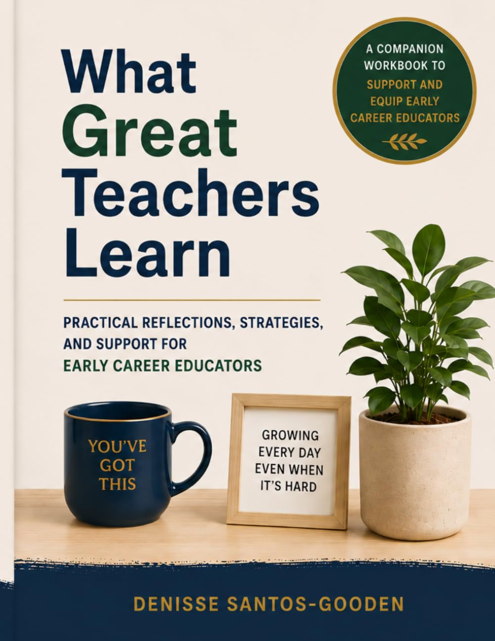 What Great Teachers Learn: Practical Reflections, Strategies, and Support for Early Career Educators