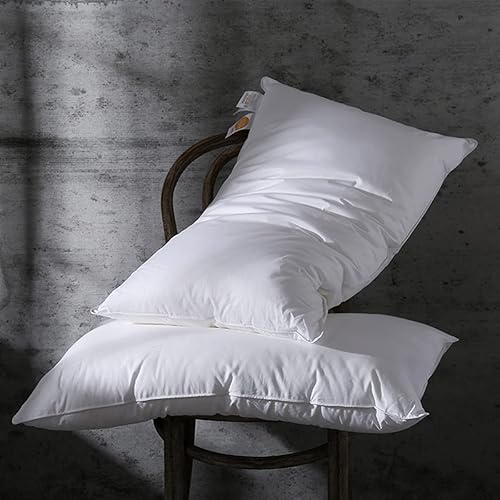 Almohada de cama alternativa de plumón de ganso tamaño Queen, paquete de 2, 100% algodón egipcio, 1200 hilos, premium e hipoalergénica, 20 x 28