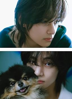 BTS V テヒョン テテ Layover LP vinyl Amazon.com: V - Layover [Vinyl LP] : Home & Kitchen