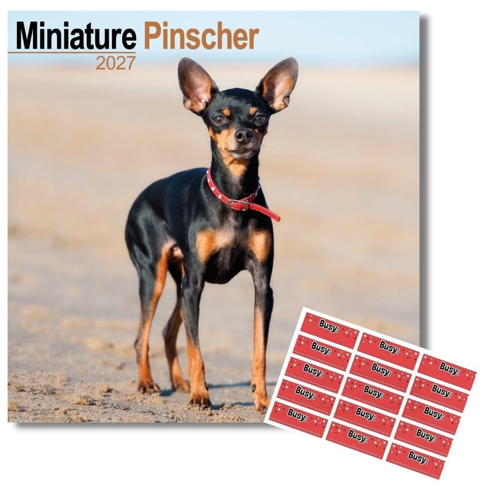Avonside Miniature Pinscher 2027 Calendar with Organisational Stickers