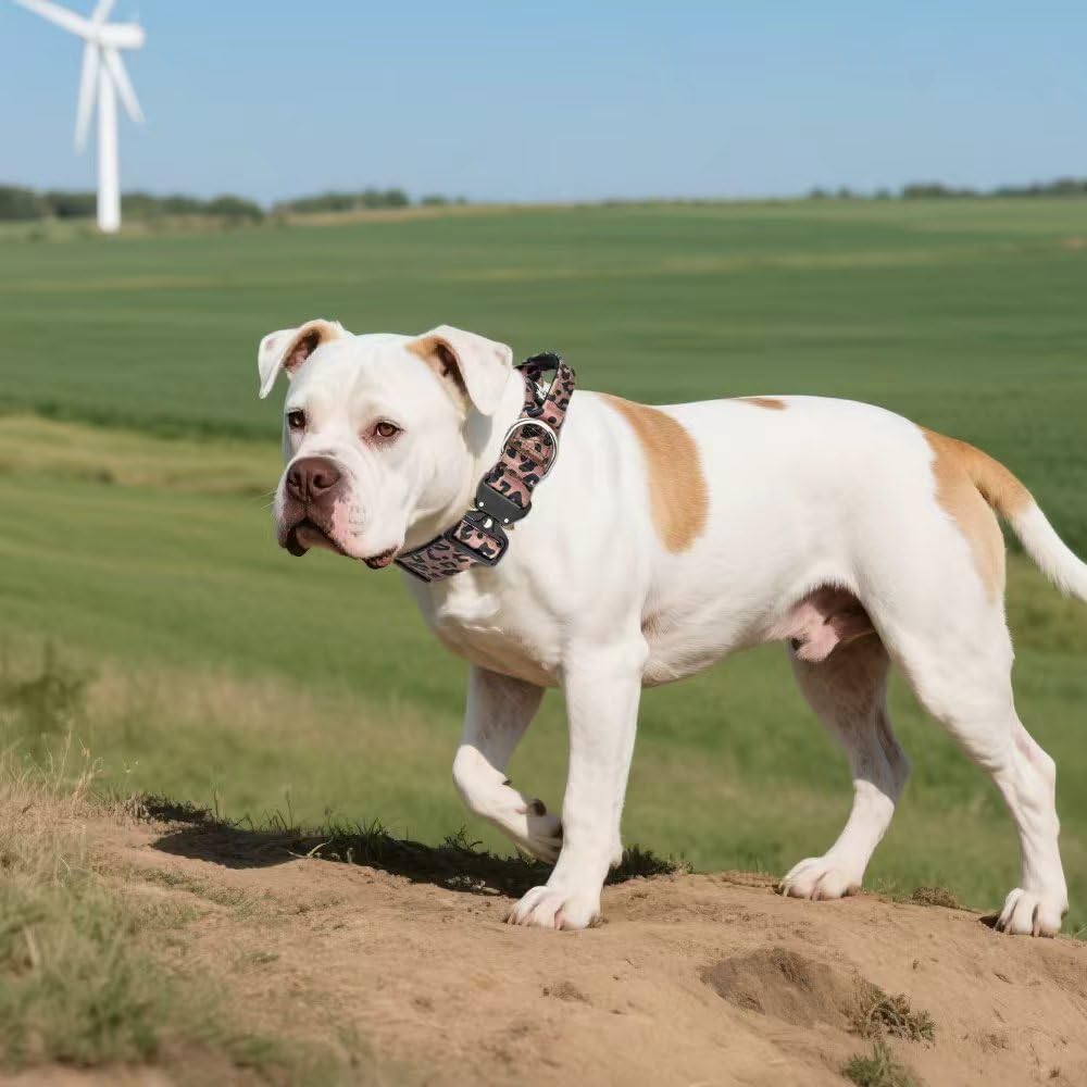 TSPRO Premium Hundehalsband mit Griff Dickes Verstellbares Taktisches Hundehalsband Schwere Ausführung Schnellverschluss Metallschnalle für Mittelgroße bis Große Hunde (Leopardenmuster L)
