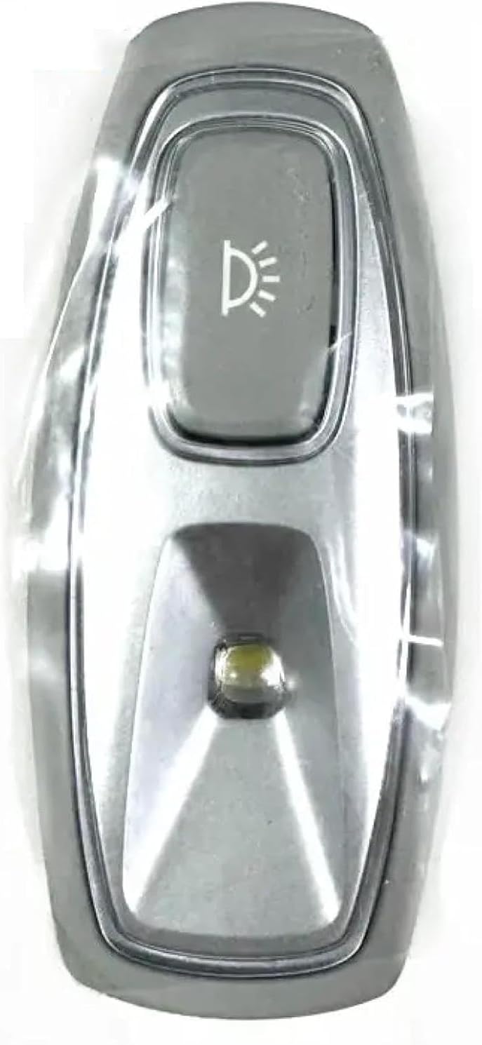 Right Console Dome Light Rear lamp Roof armrest dome lamp (Right)