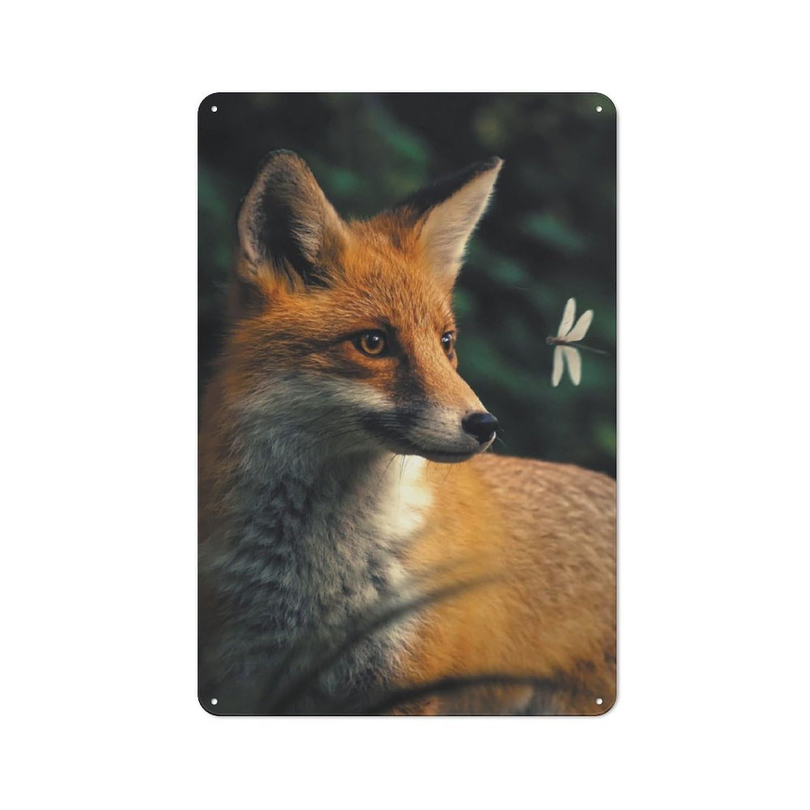 Retro Metal Sign 30x20cm Featuring The Fox And Dragonfly, Home Bar Decor for Pub, Home Bar, Shed Or Man Cave