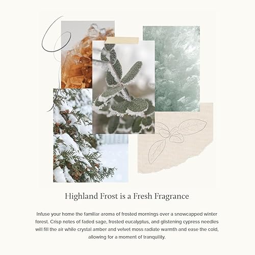 Miniatura 3 de Thymes Highland Frost Vela grande  Vela perfumada con notas nítidas de salvia, eucalipto y agujas de ciprés, fragancia de lujo para el hogar, vela