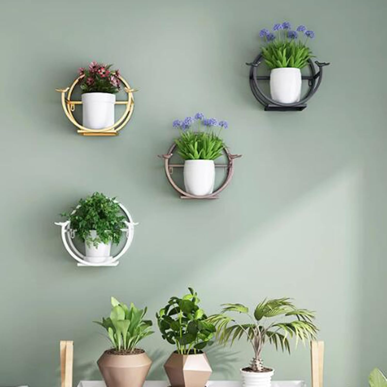 Living Room Wall Mounted Plants Round Frame Bird Decor Flower Rack Restaurant Wall Shelf Attached Pot Rack Storage Rack