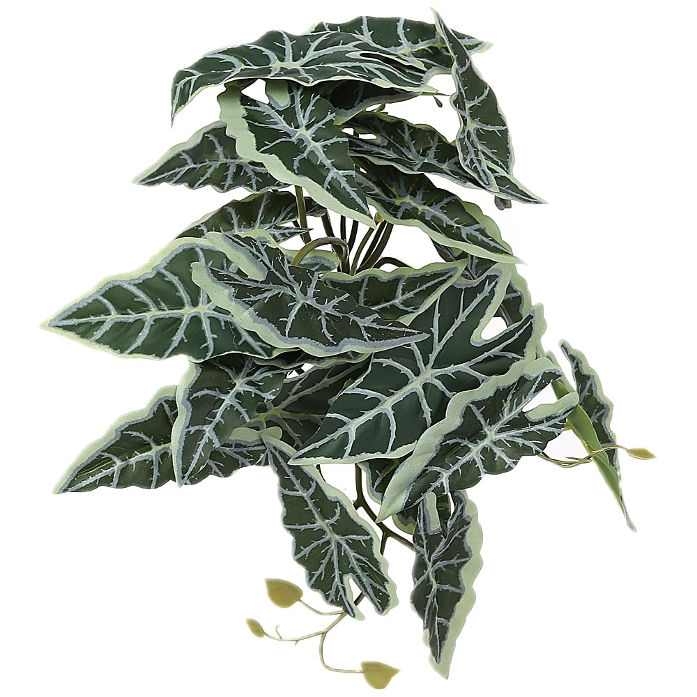 Snake Enclosure Plants, Fake Alocasia Black Velvet Hanging Suction