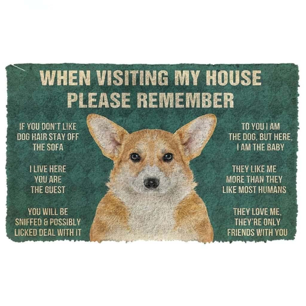 Paillasson extérieur pour entrée Corgi idéal devant la porte de votre maison
