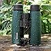 Wingspan Optics NatureHawk Ultra HD 8X42 ED Glass Binoculars for Bird Watching. Waterproof. Phase Coated. Ultra-Durable Exterior. The Most Stunning, Clearest Birding View Ever at an Affordable Price