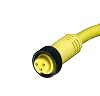 Mini-Change A-Size Single-Ended Cordset, 3 Poles, Female Straight to Pigtail, 16 AWG, PVC Cable, 1.83m 6.0 Length