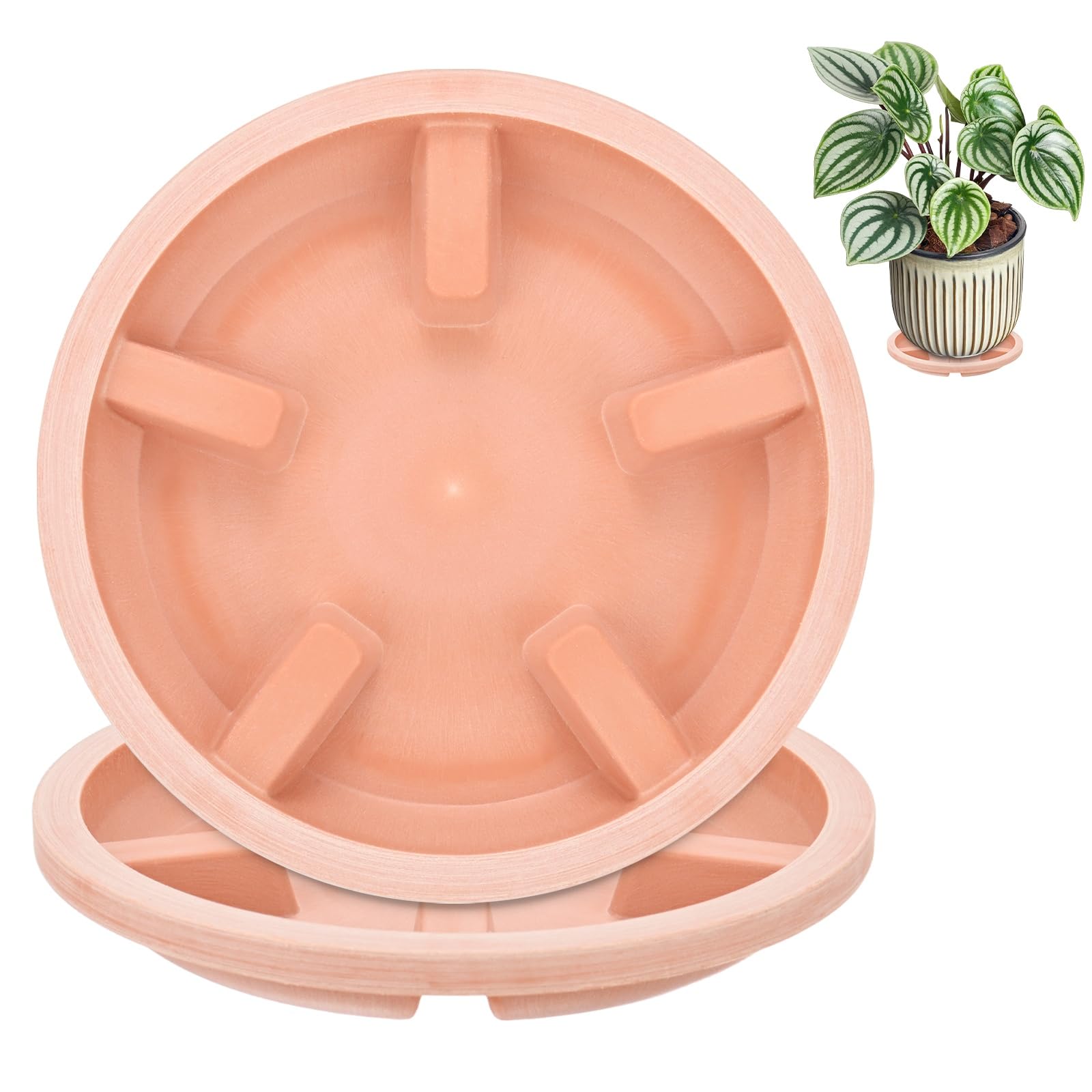 M METERXITY 2-Pack Plant Saucers 5 inch OD Resin for Indoor/Outdoor