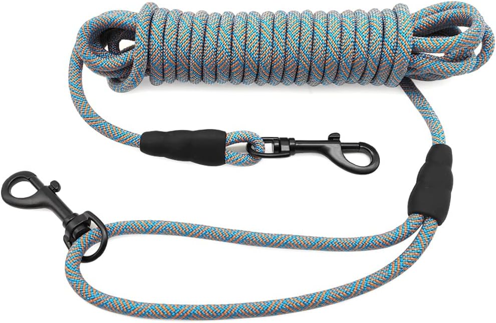 multiple dog tie out