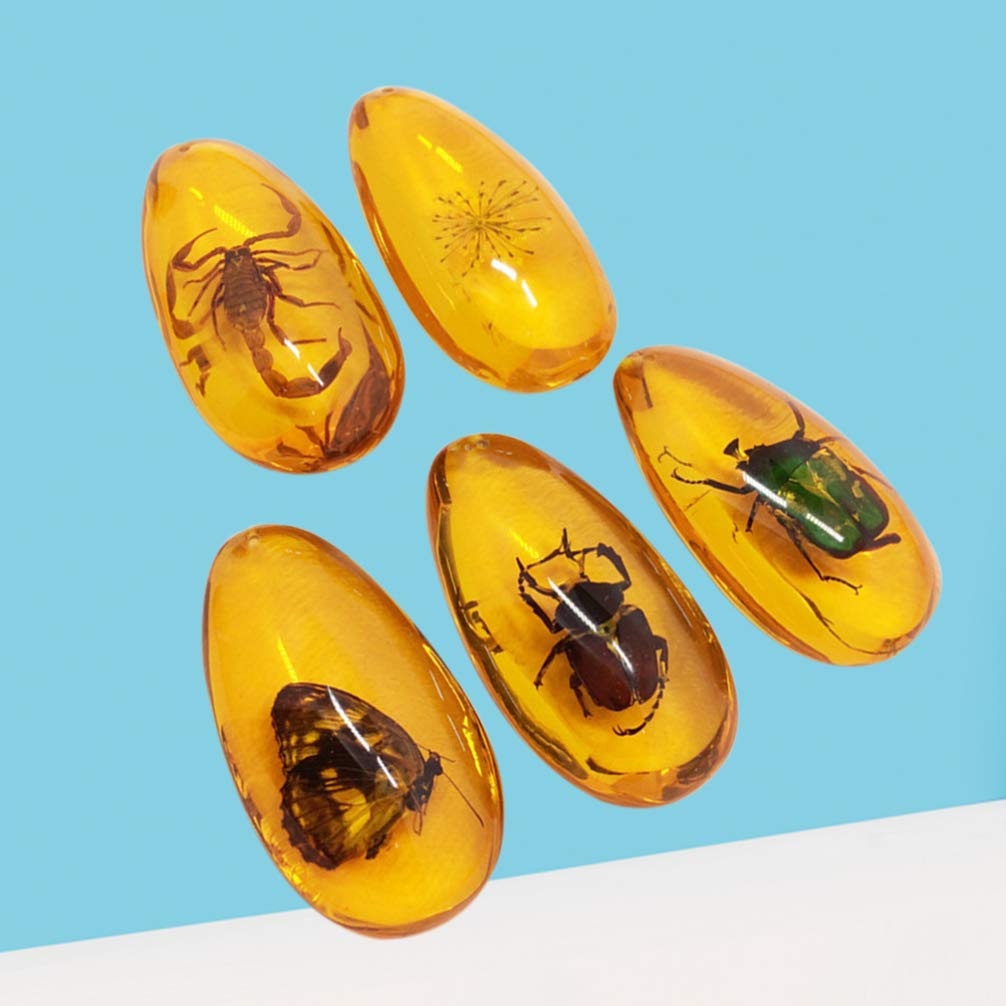 LIOOBO Fósil Ámbar con Muestras de Insectos Piedras Especímenes de Cristal Colección de Decoradores para El Hogar Colgante Ovalado para Niños (Patrón Aleatorio)