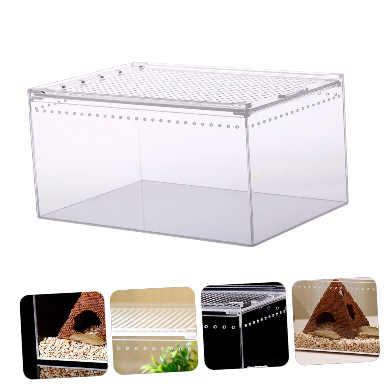 Reptilienzuchtbox aus Acryl Transparent, Auslaufsicher, EIN Stück | Montage, für Futtergabe und Sichere Haltung, Geeignet für Krabben und Schildkröten