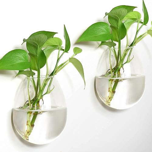 Miniatura 2 de Paquete de 6 macetas colgantes de cristal para colgar en la pared, jarrones de pared de terrario, estación de propagación de plantas