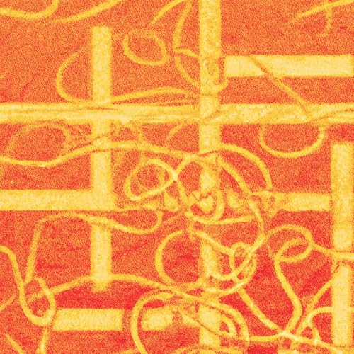 TAKE 22 launch - with Derrick Duan, Shyama Sasidharan and Jacqui Maida