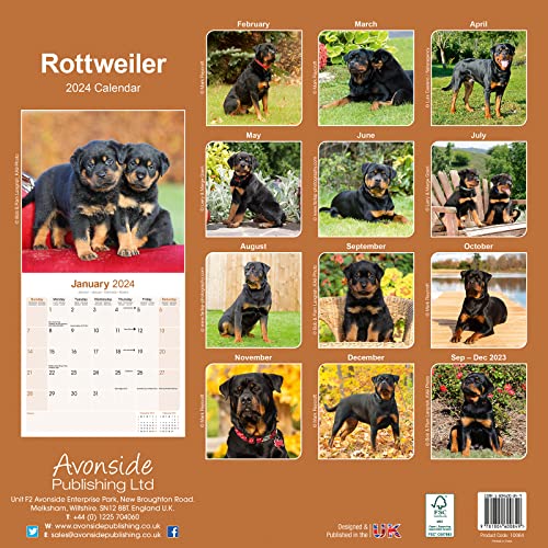 Rottweiler Calendar 2024 - Image 2