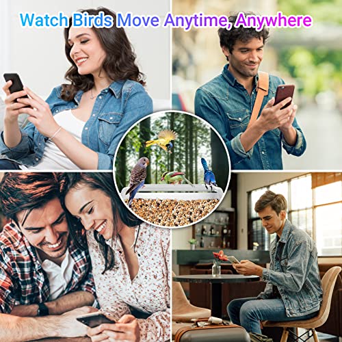 Dd Smart Bird Feeder With Camera,Ai Identify Bird Seed,Window Bird Feeder With Live View Motion Detection,Hd Video,Squirrel Baffle Wireless Webcam,Solar Bird Feeders For Outdoors Hanging,Love Gifts #TOP7