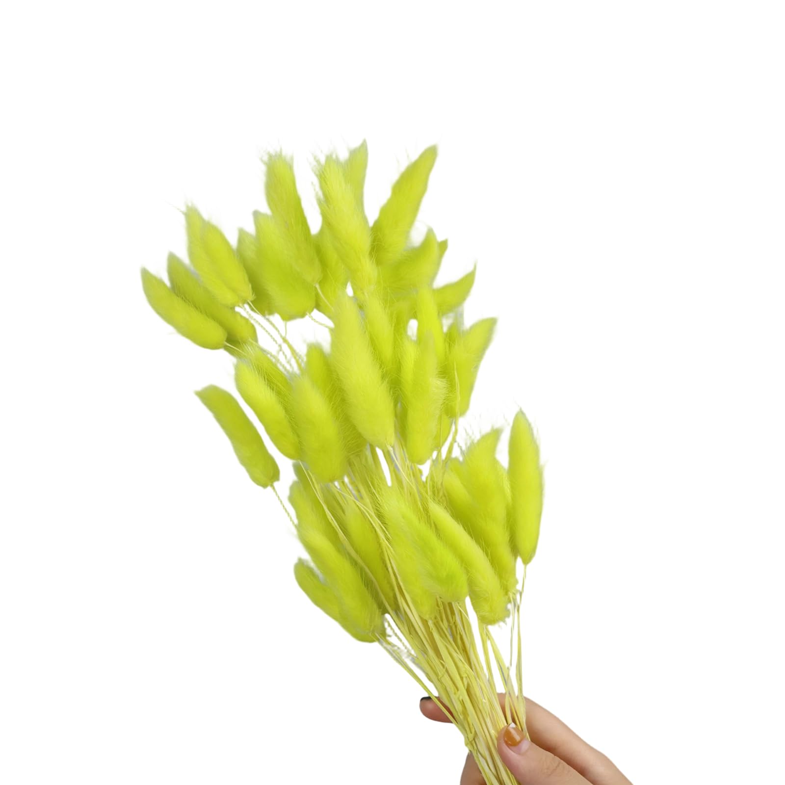 Tsophreniq 60Pcs Natural Hare Tails Dried Flower 23.6Inch Natural Dry Pampasgrass for Vase Arrangements Home Decoration Wedding Pet Safe Dried
