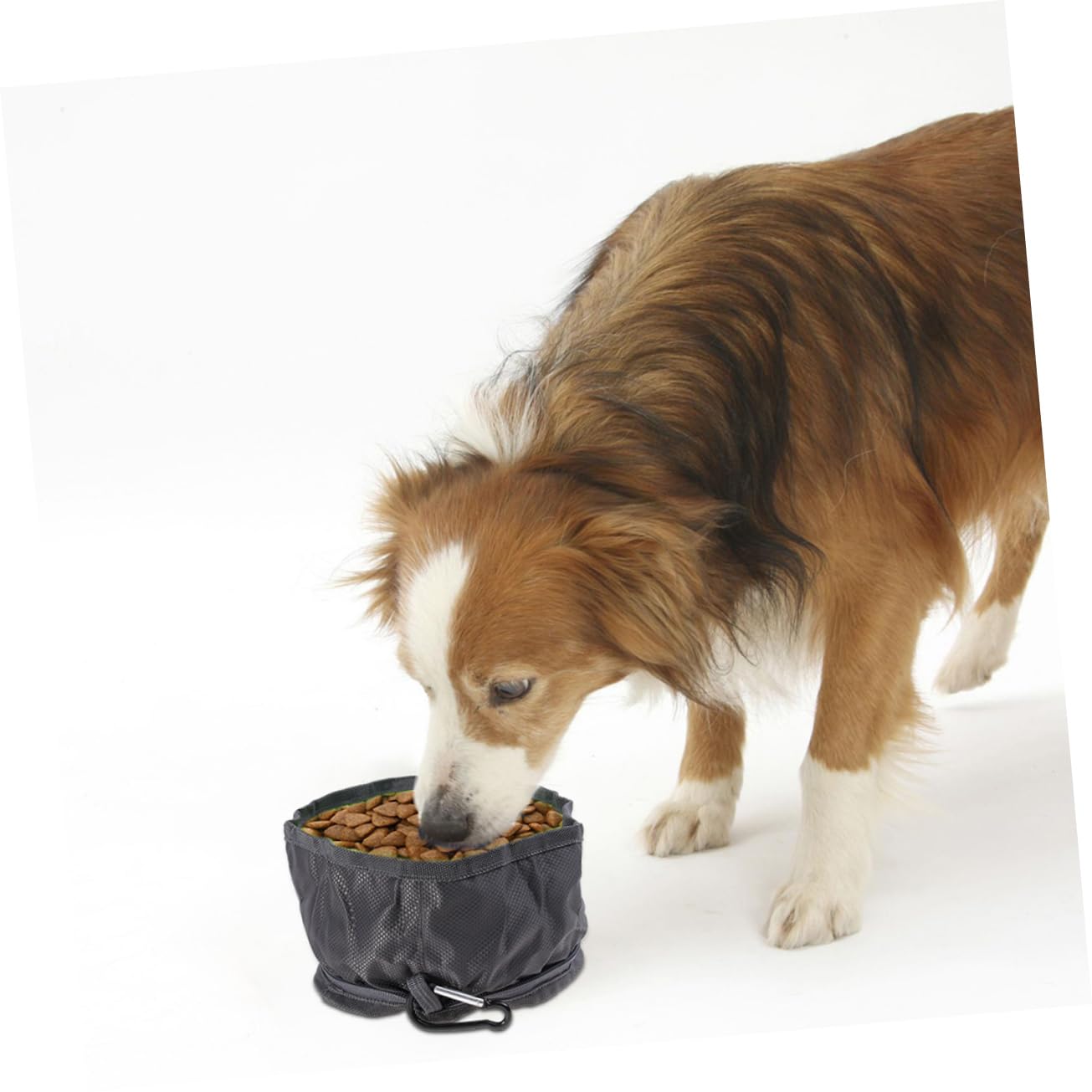 BESPORTBLE 3 Pezzi Ciotola Per Cibo Per Animali Domestici Ciotola Per Cani All'Aperto Ciotole Per Cani Portatili Per Pieghevole Ciotole Per Animali Portatili Alimentatore Per