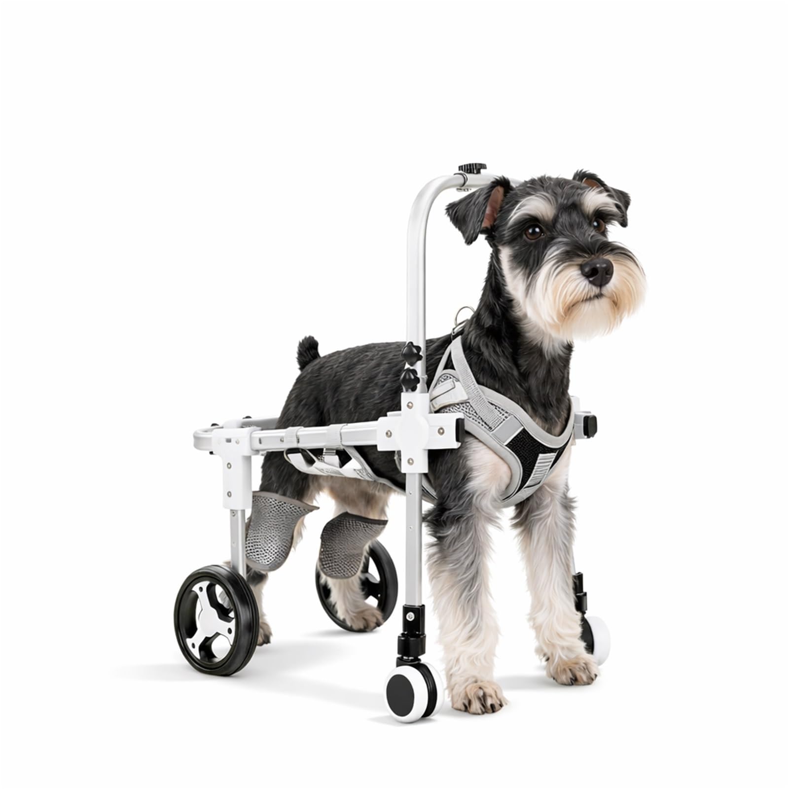 CASOME Adjustable 4-Wheel Dog Wheelchair For Front & Hind Legs – Lightweight Mobility Aid For Elderly Dogs – EVA Wheels For Comfortable Mobility & Easy Adaptation – Fits Small Breeds(White4wheel,S)