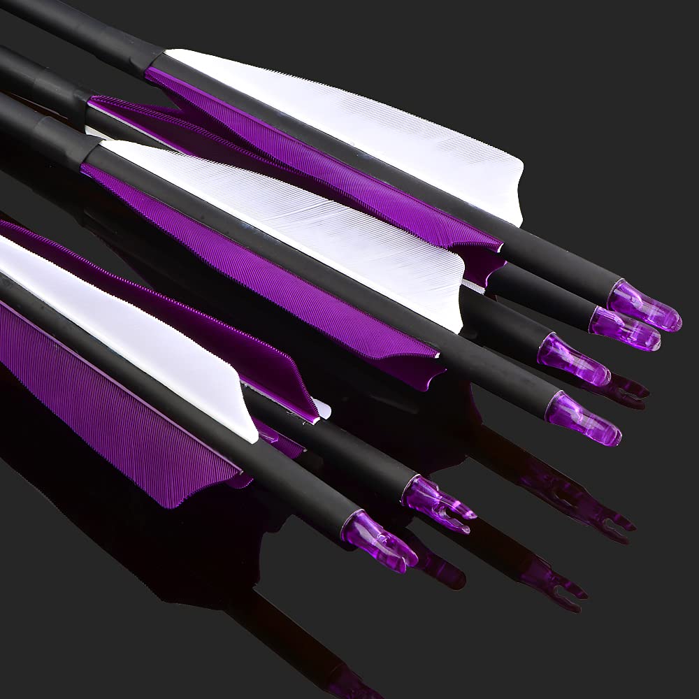 Pfeile für Traditionelle Bogenschießen 30 Zoll Bogenpfeile Carbon Pfeile Jagdpfeile Spine 500 Pfeile mit 4'' Befiederung für Recurvebogen Traditionellen Bogen Pfeile Pfeilspitzen