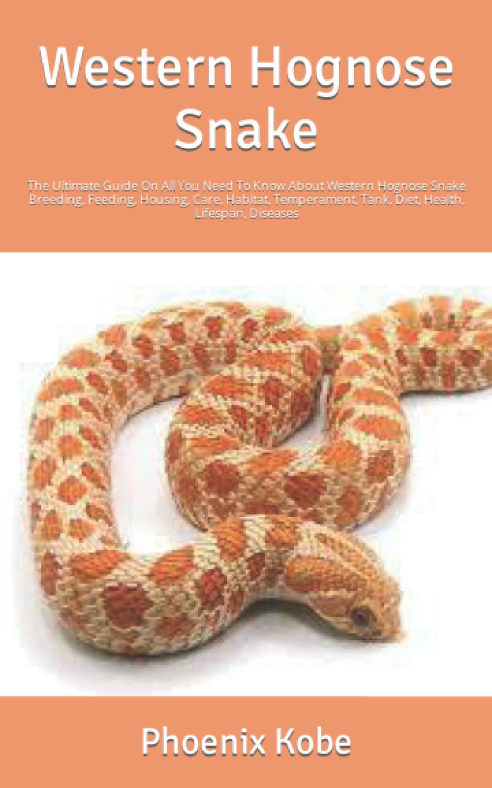 Buy Western Hognose Snake The Ultimate Guide On All You Need To Know