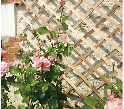 Celosía de Madera Extensible |0.5X1.5M | Soporte para Plantas trepadoras |