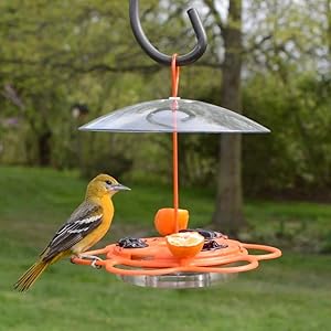 Nature's Way OFP1 All-in-One Oriole Buffet Bird Feeder, Orange