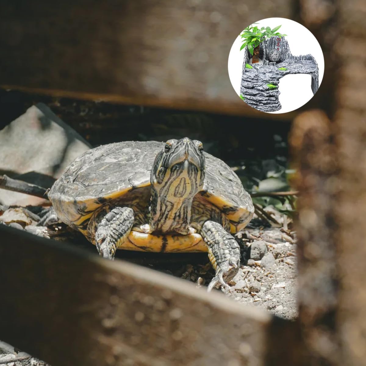 TOYANDONA Schildkröten Aquarium Habitat Kletterplattform Schwimmende Sonnenplattform aus Kunstharz für Reptilien Terrarium Zubehör